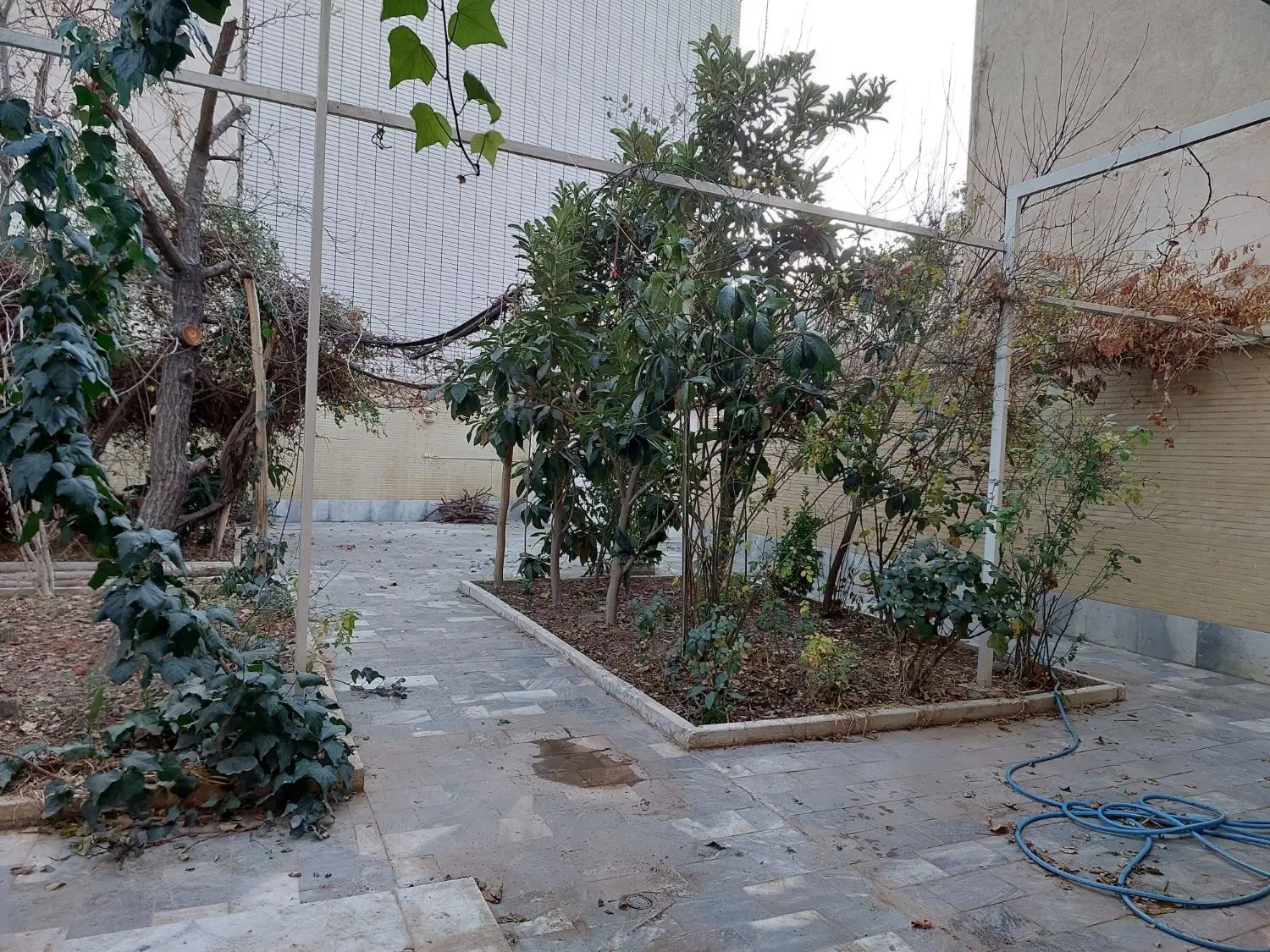 تک خواب همکف  حیاط اختصاصی