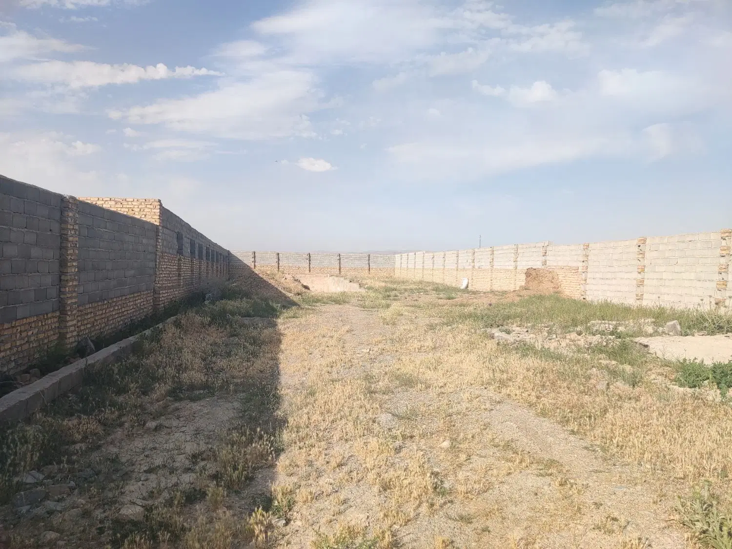 دامداری 2000متری