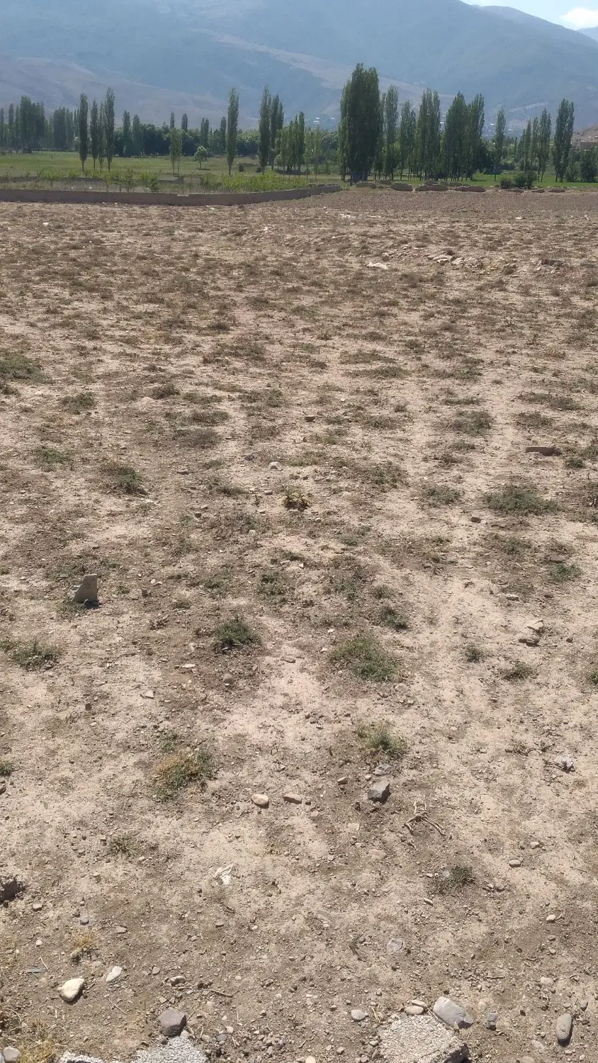زمین ۴۰۰. متری با آب و برق