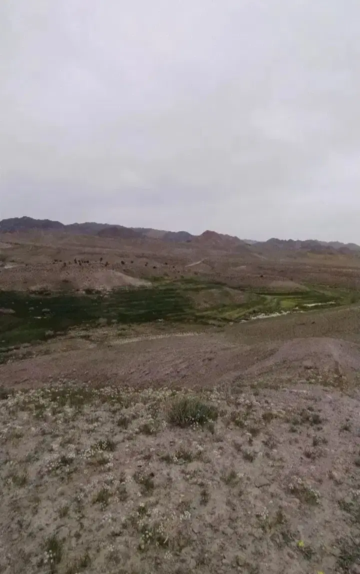 زمین فرزنداوری سه فرزندی ۶دنگ