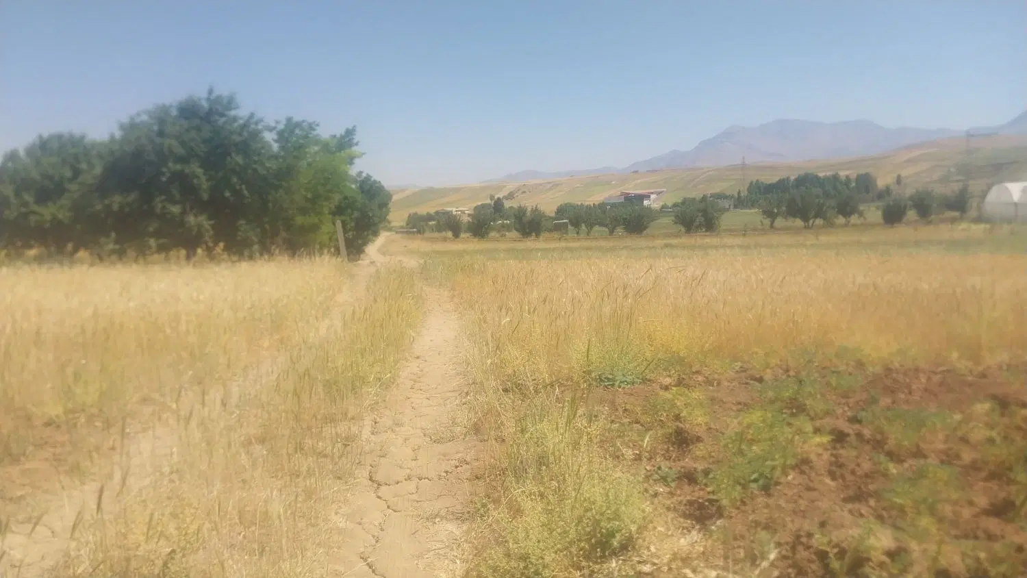زمین زراعی برای باغ مساحت بالا