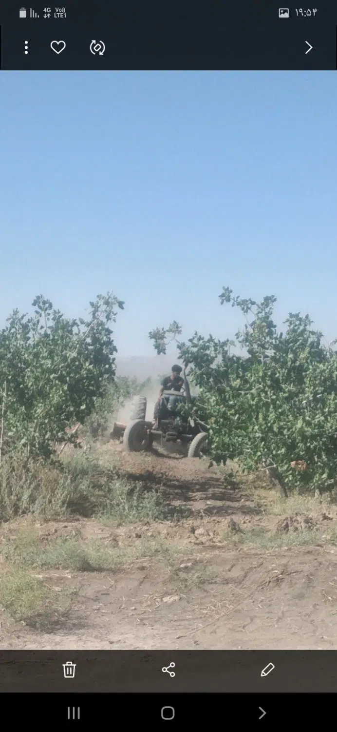فروش زمین پسته