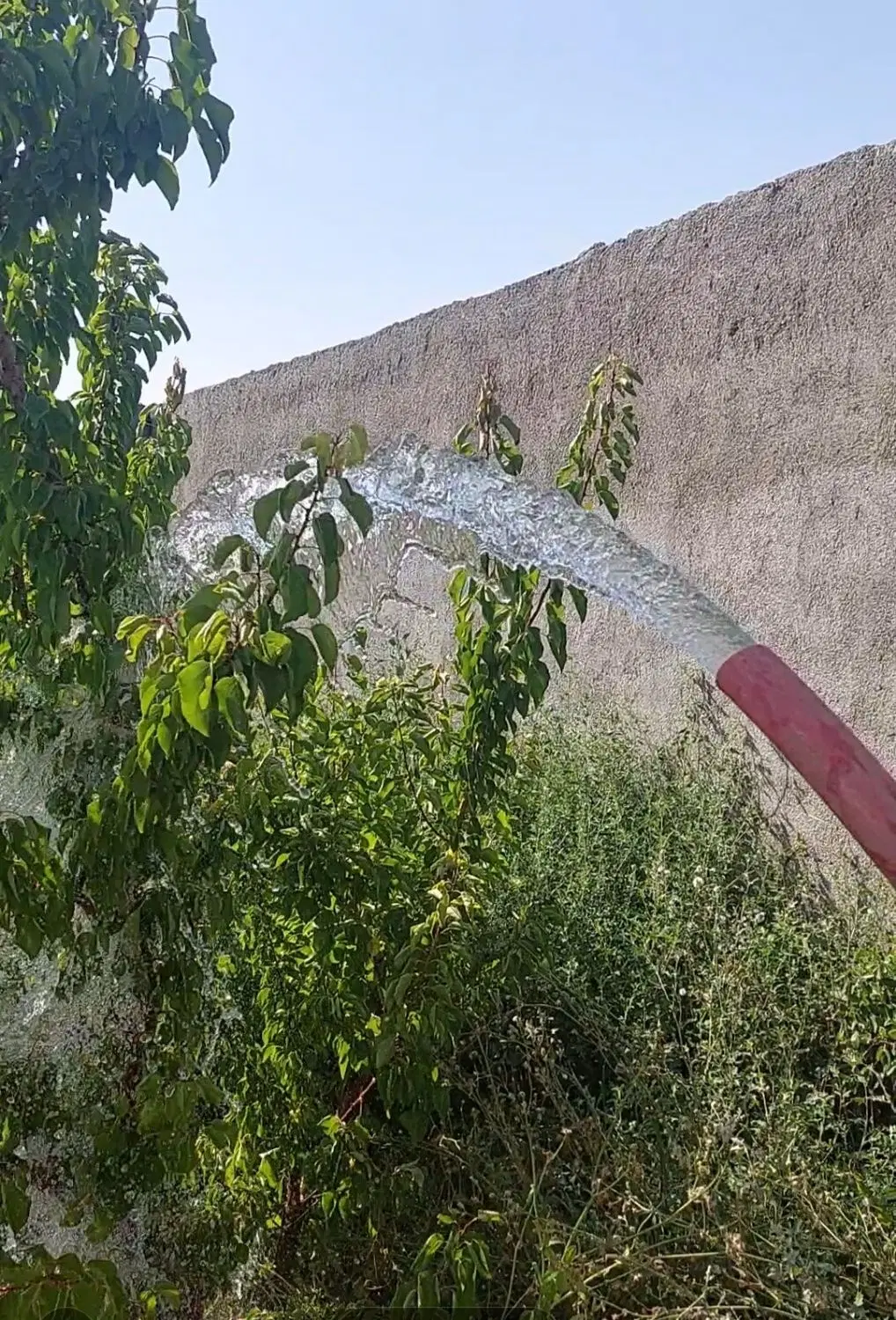 باغ ۸۰۰ متری بنا ۱۰۰ متر شاهنامه۷۶