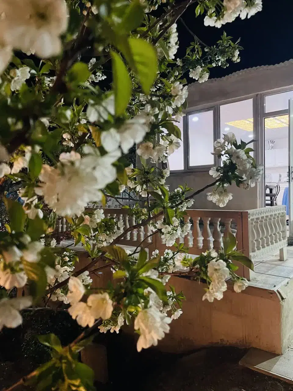 اجاره ویلا باغ.مناسب دورهمی خانوادگی و جشن تولد