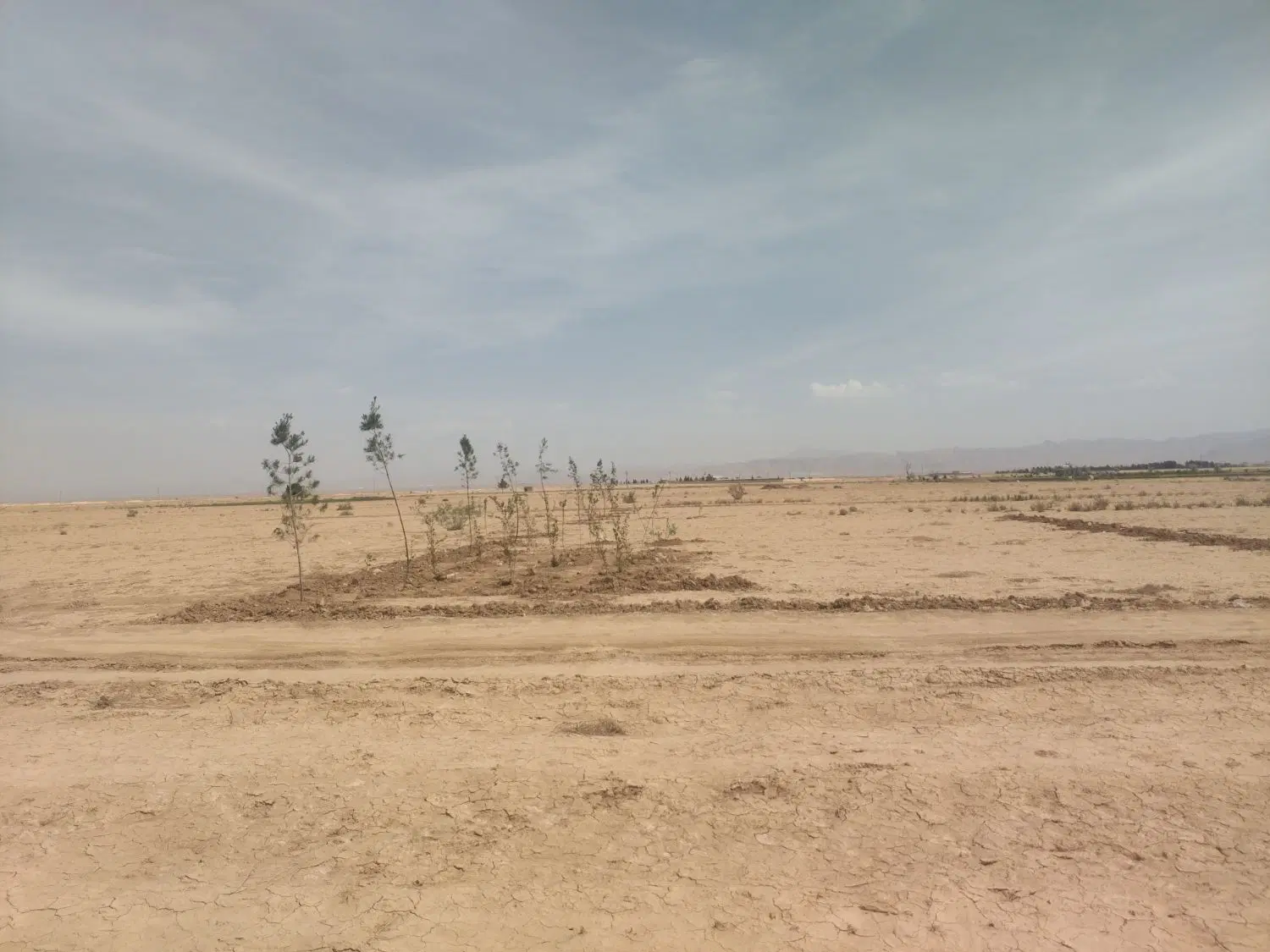 زمین کشاورزی