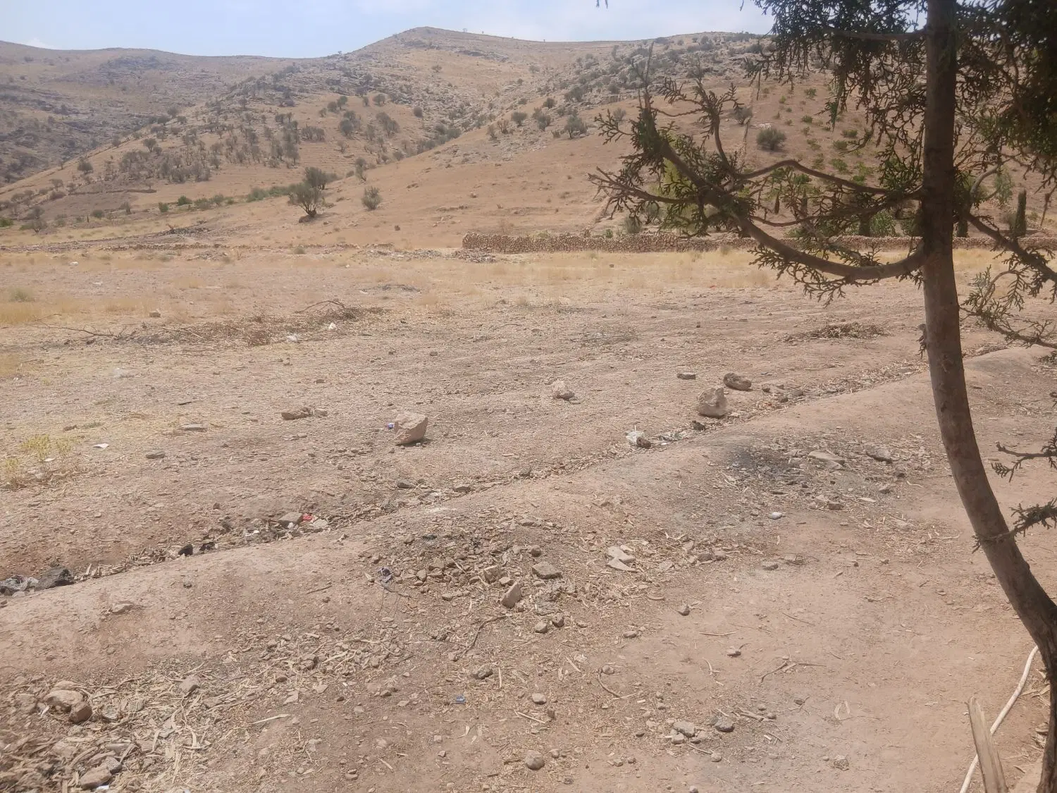 زمین سعدی آینده دار