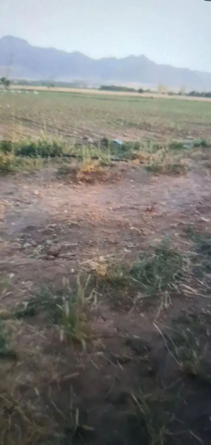 مزرعه سبز سلطانیه