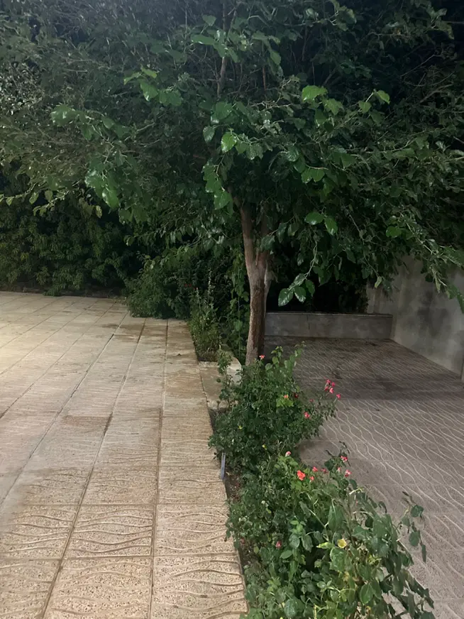 باغ ویلا ساروق