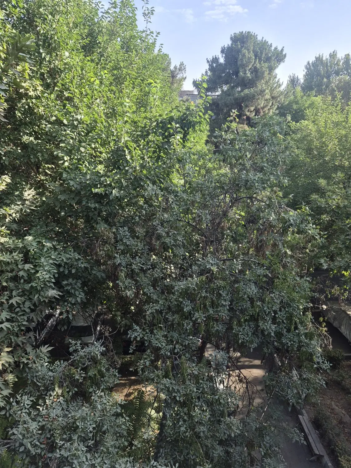 نازی آباد چهارصد دستگاه