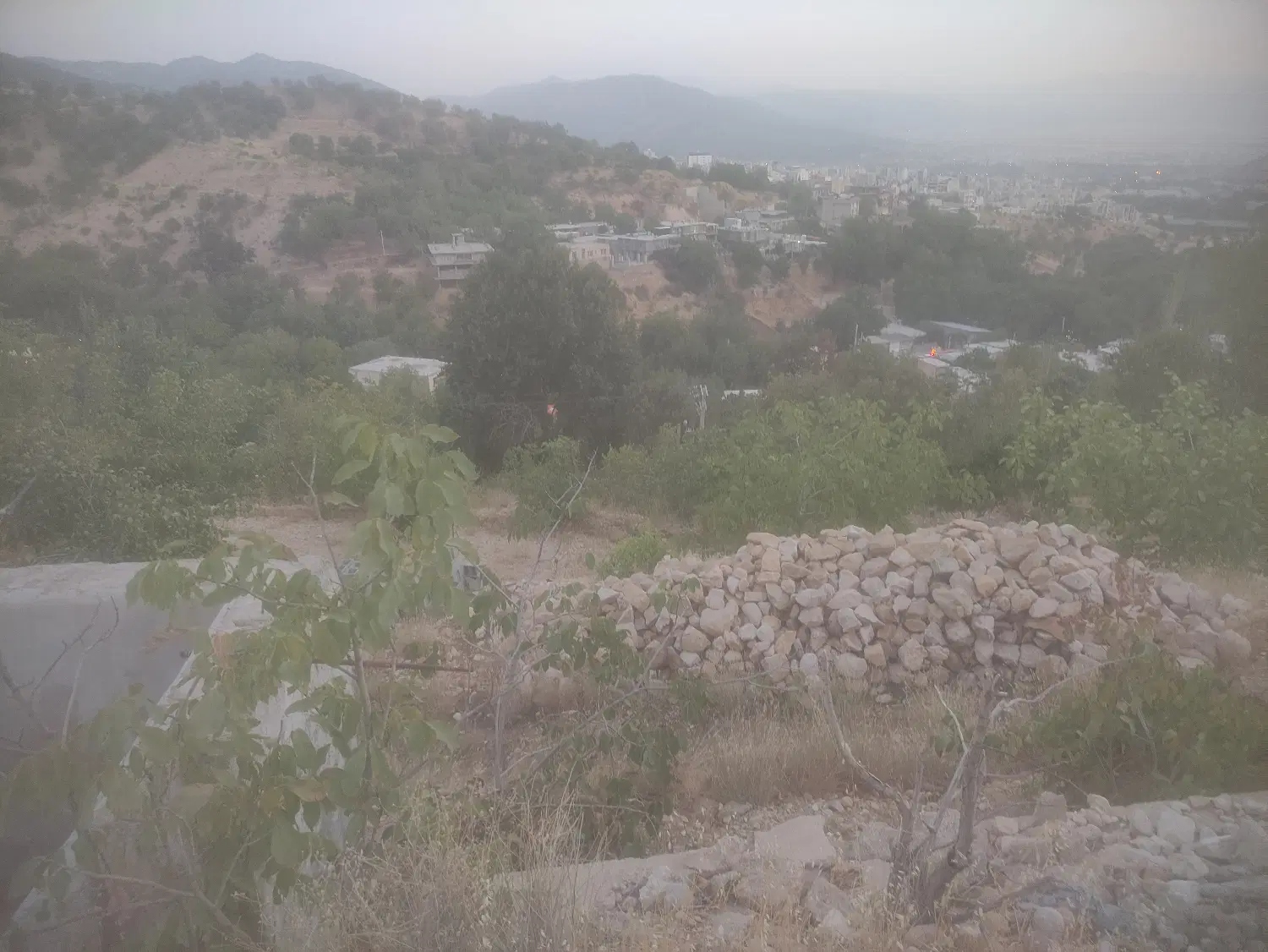 فروش باغ