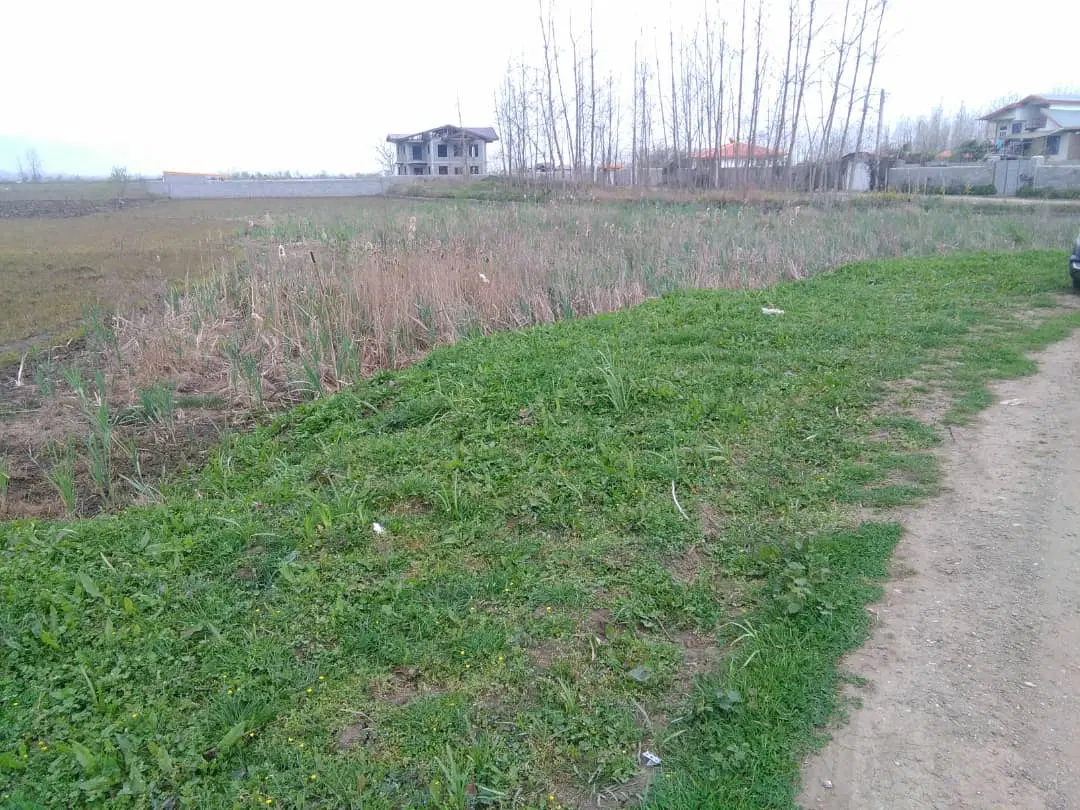 فروش زمین روستایی زیبا نزدیک ساحل