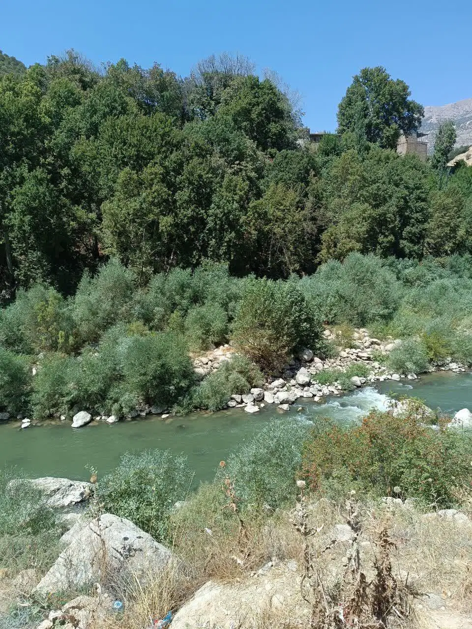 زمین مسکونی