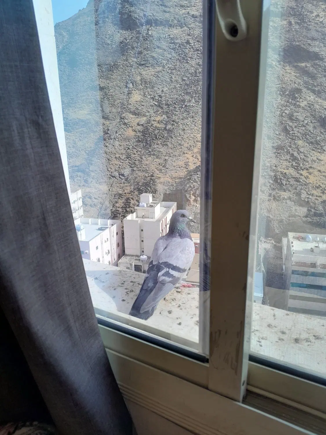 آپارتمان دو خواب دلاوران۱۶