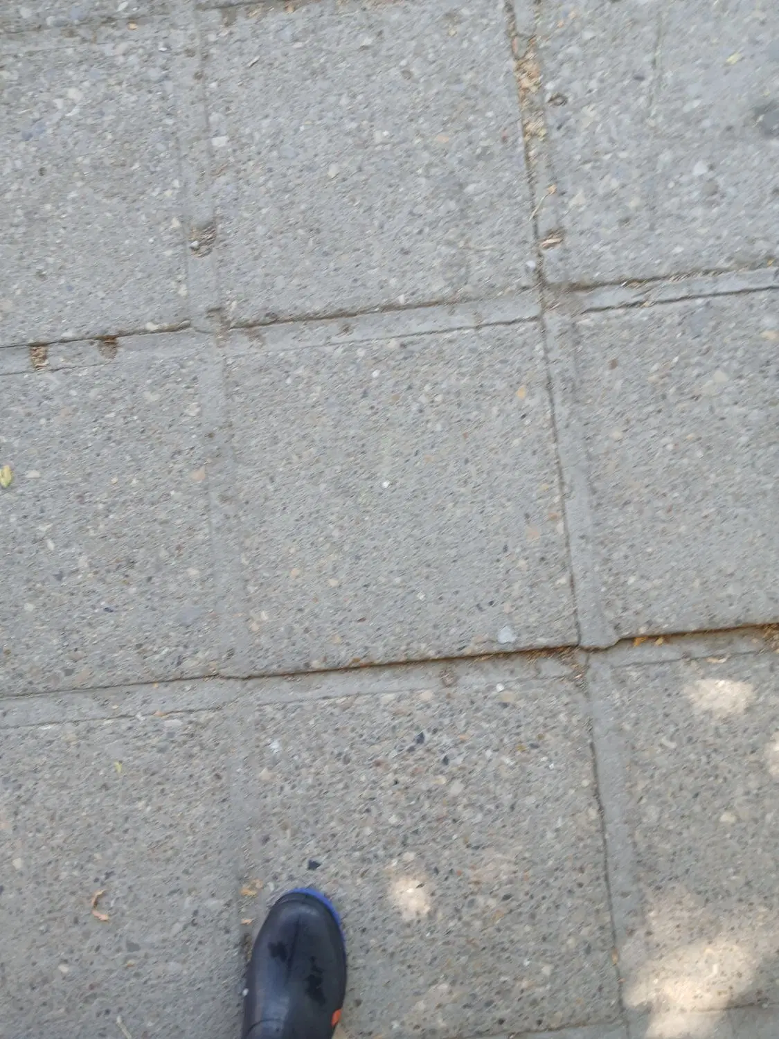فروش یک حفره قبر
