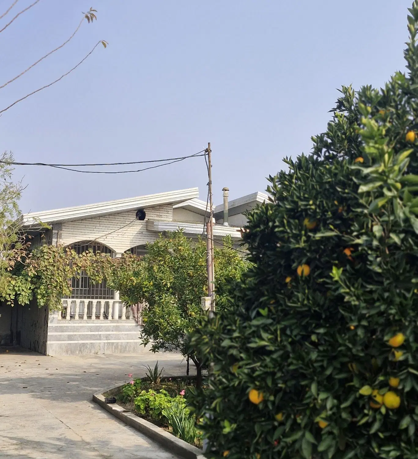 فروش باغ در شمال