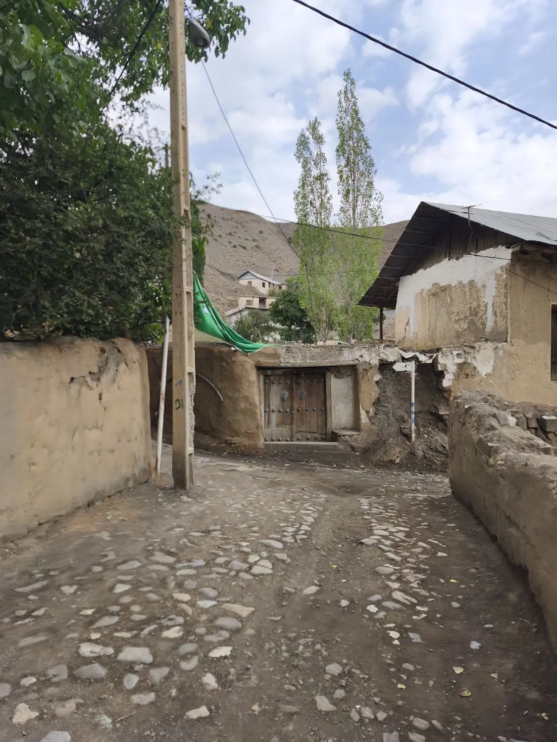 هم خانه