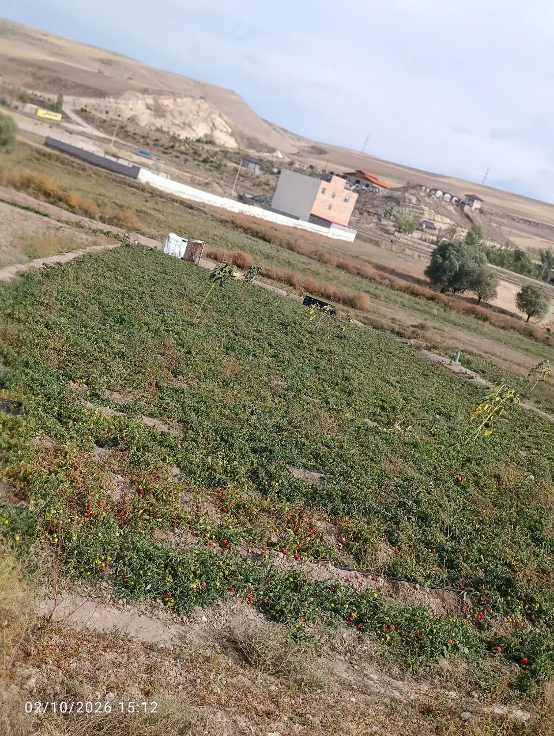 زمین در روستای قاسم قشلاقی