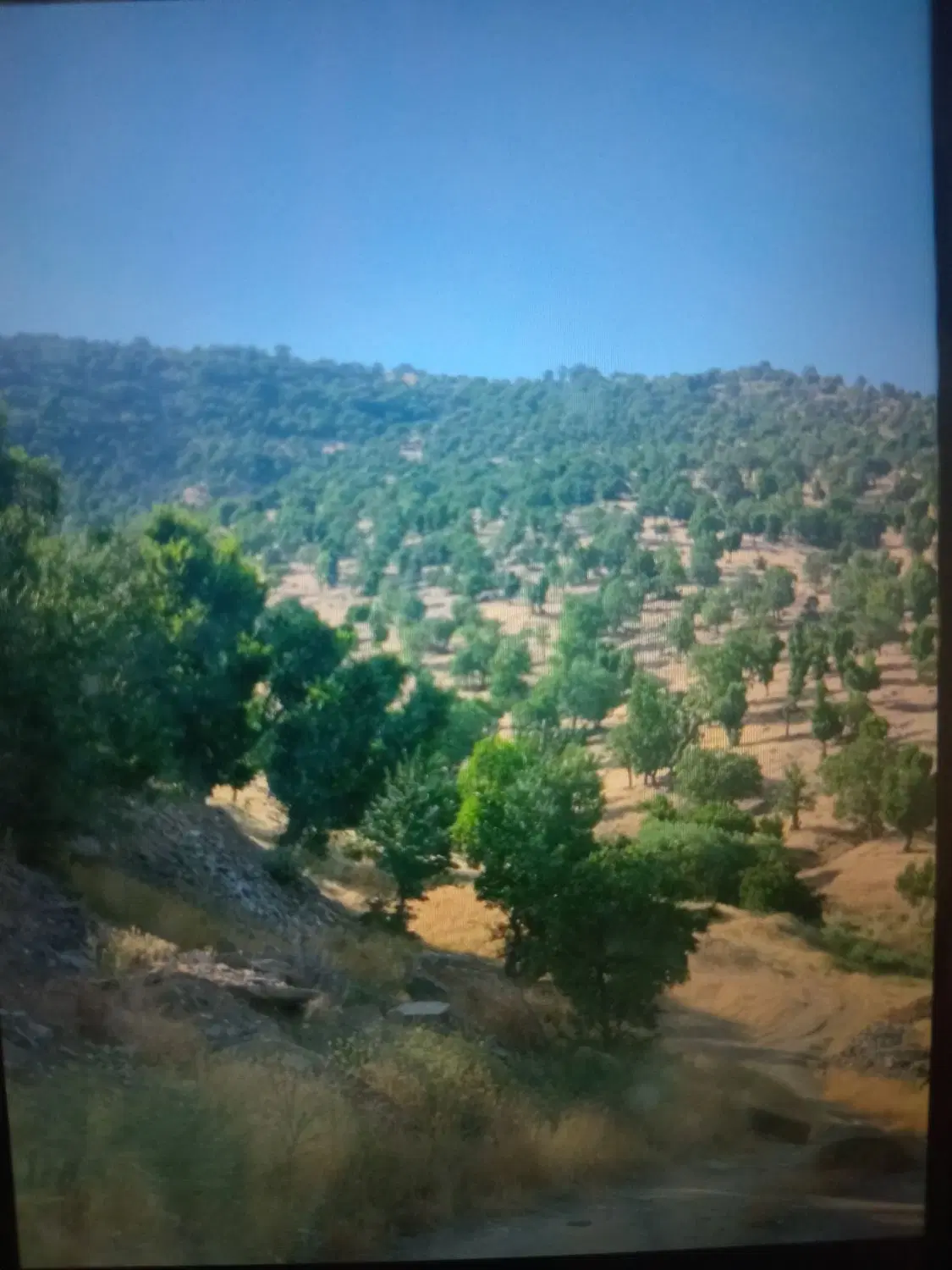 فیش صادقیه گلشهر دو میلیارد
