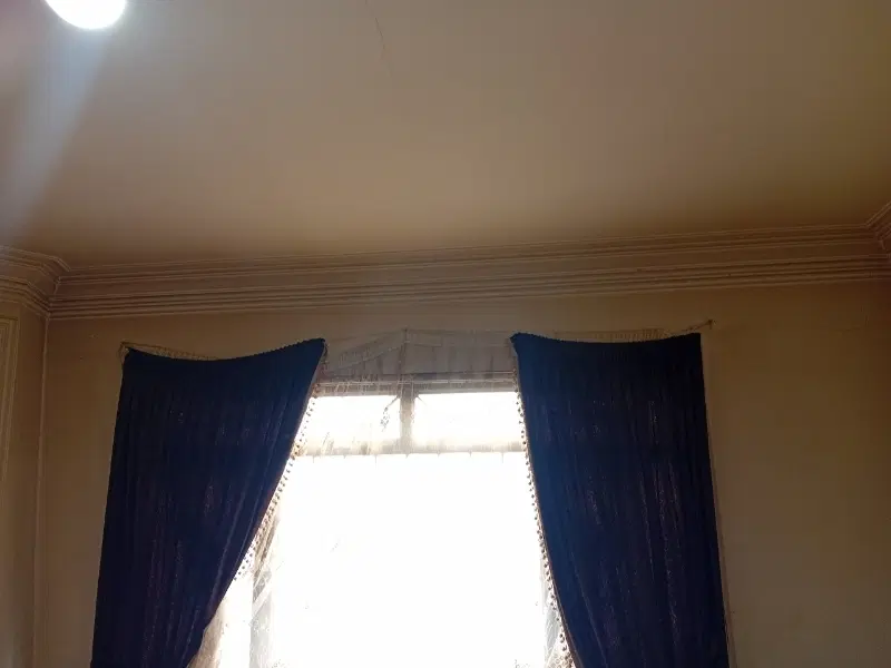 همخانه