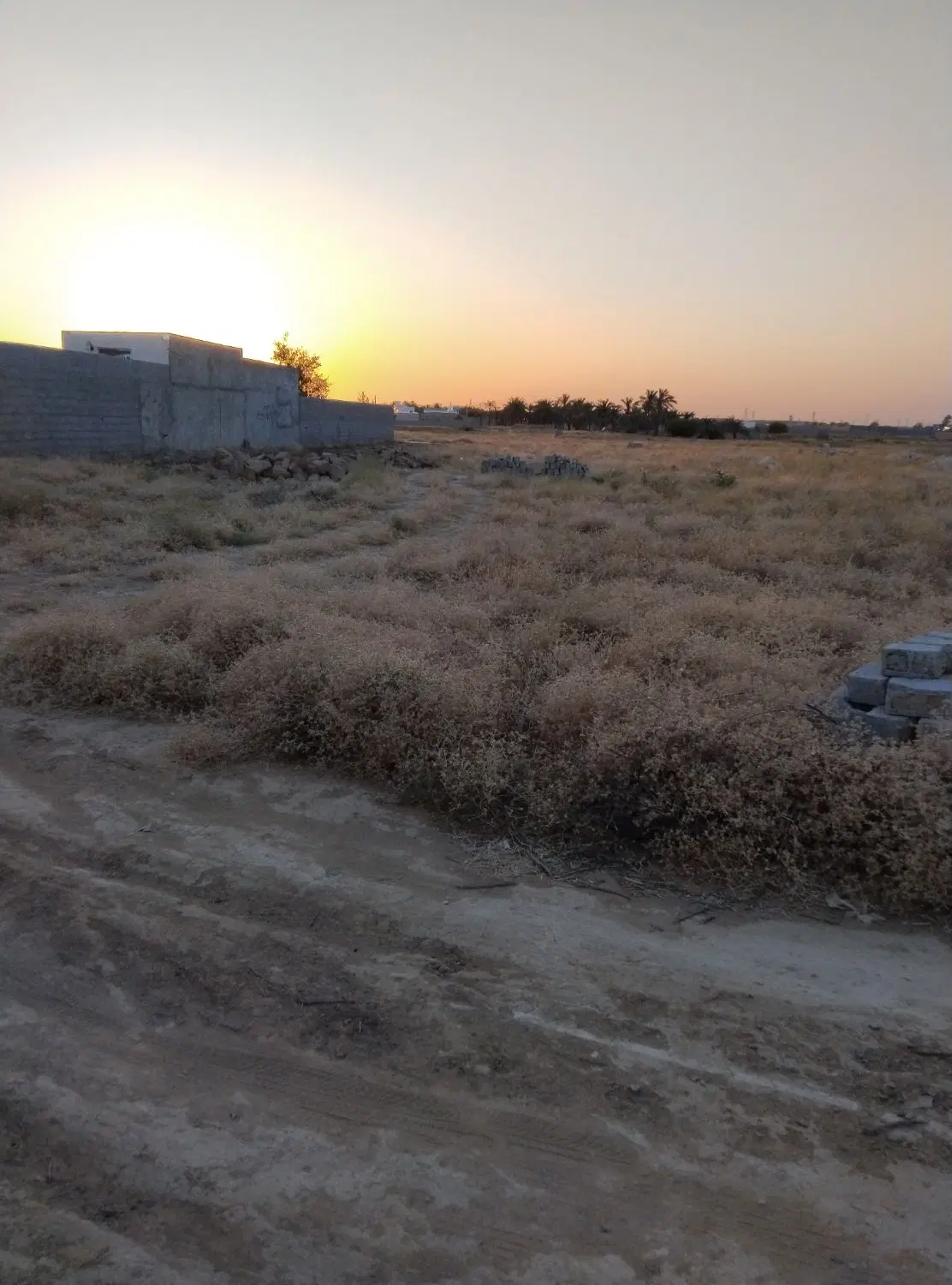 یک ملک زمین باغی
