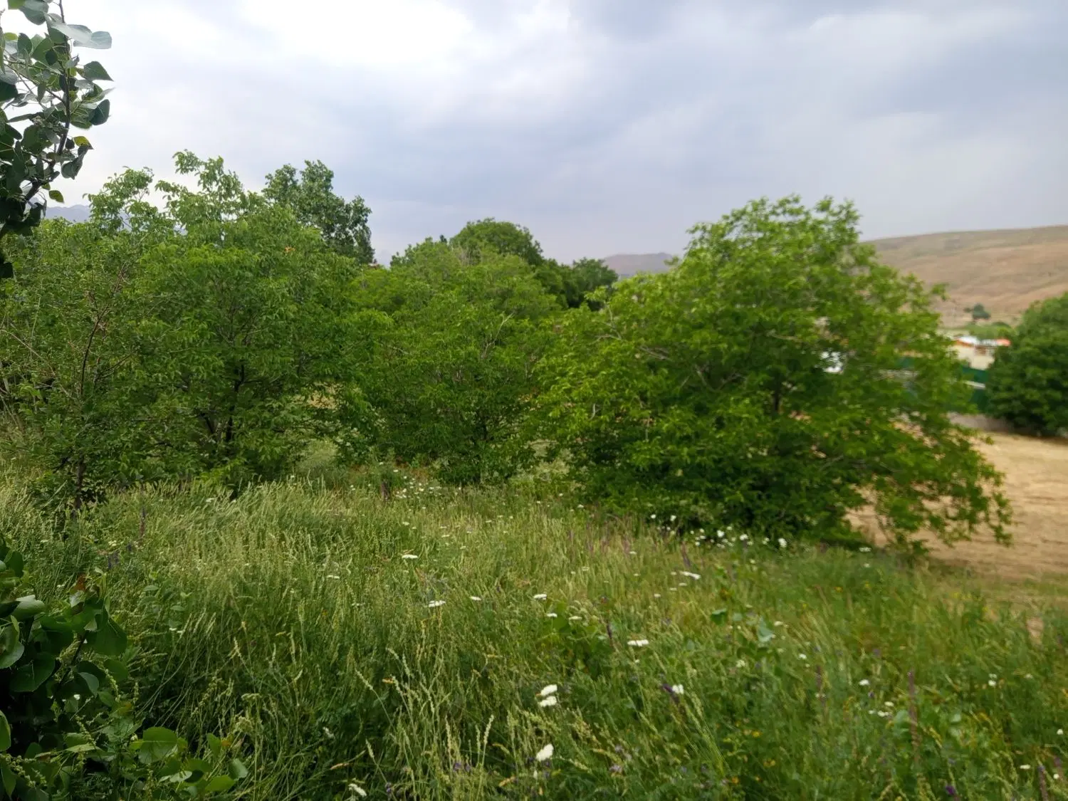 باغ ویلایی در منطقه توریستی یام سیوان