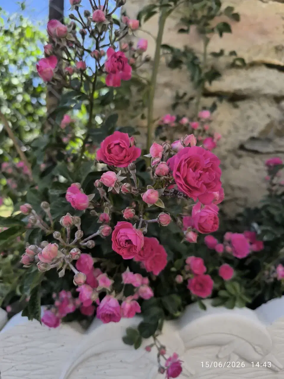 با سلام خانه باغی خوشگل ویو ابدی روستای برفین