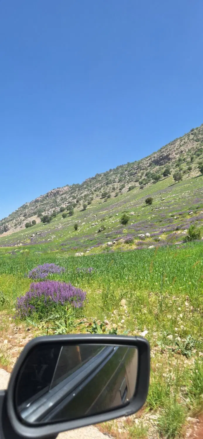 زمین کشاورزی سروک