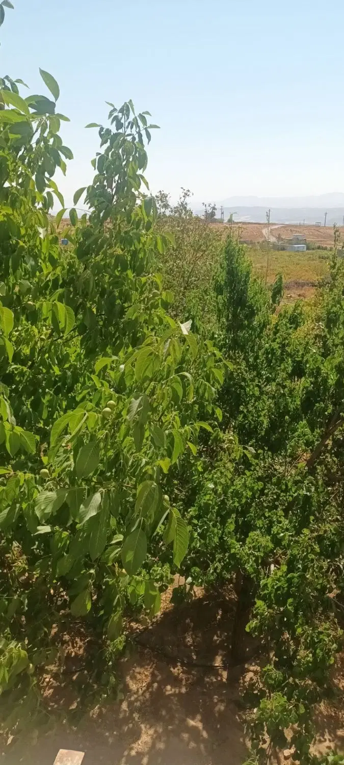 خانه ویلایی