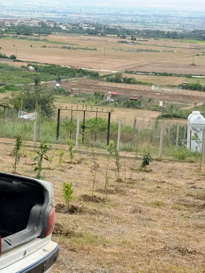 باغ شموشک بالاکانکس مخزن اب دستشویی حموم سندتک برگ