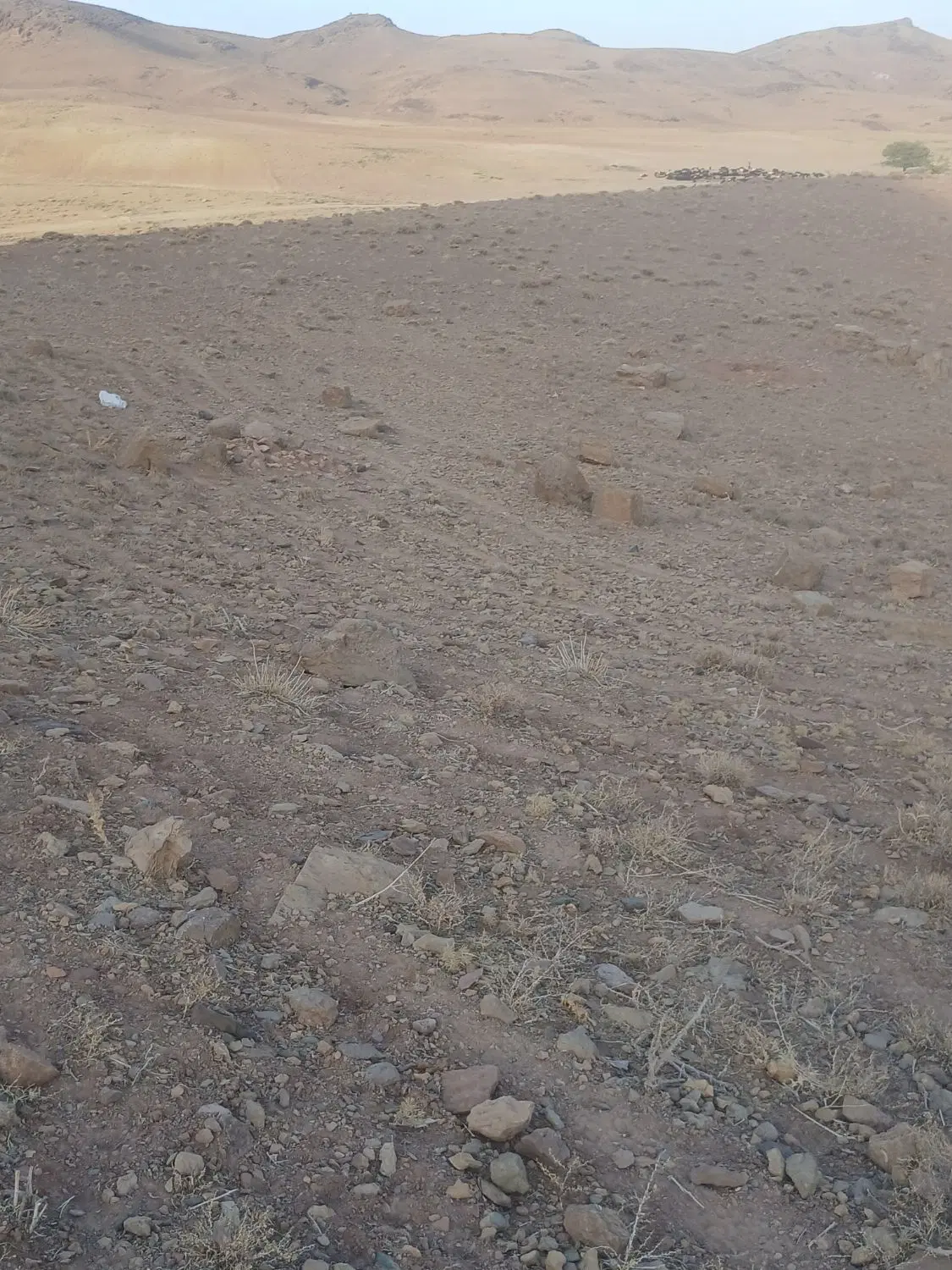 زمین مسکونی