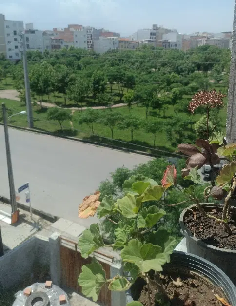 اجاره خانه