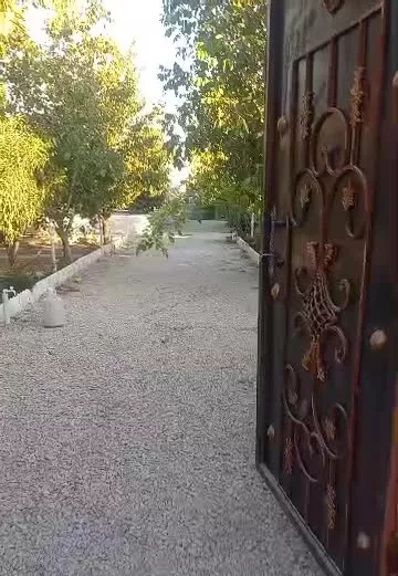 باغچه مشجر