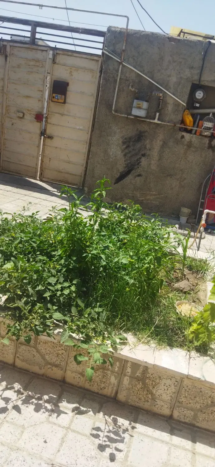 ویلایی بیسیم