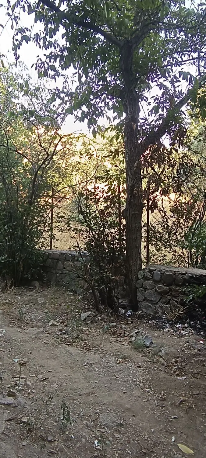 باغچه کنار رودخانه در آغشت ـ کلین رود
