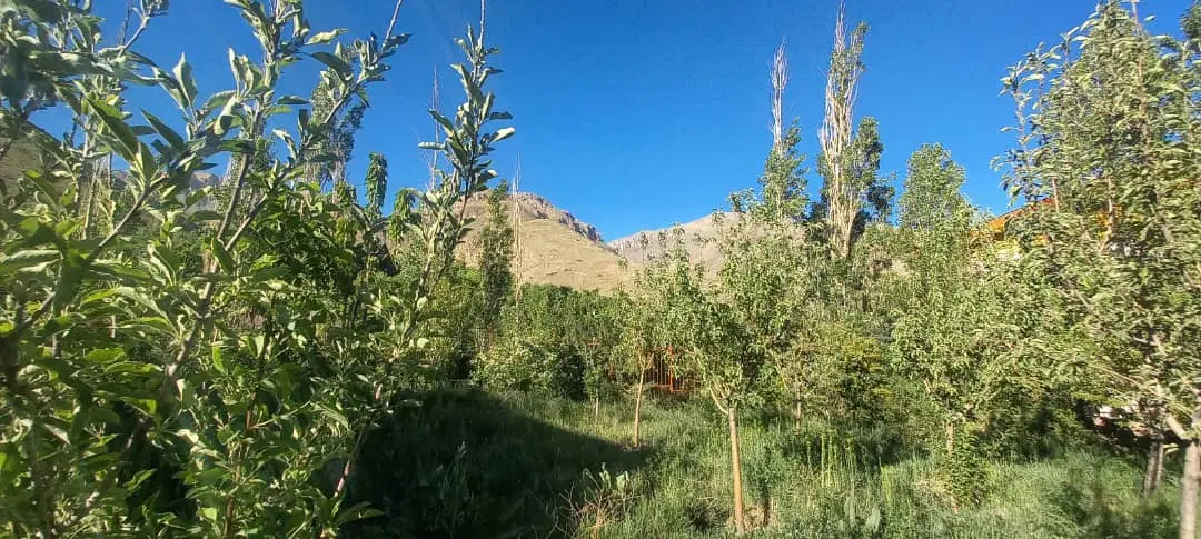 ۱۱۳۰ متر باغ،بنا۱۲۰ متری،شهرک ویلایی هزاردشت آبعلی