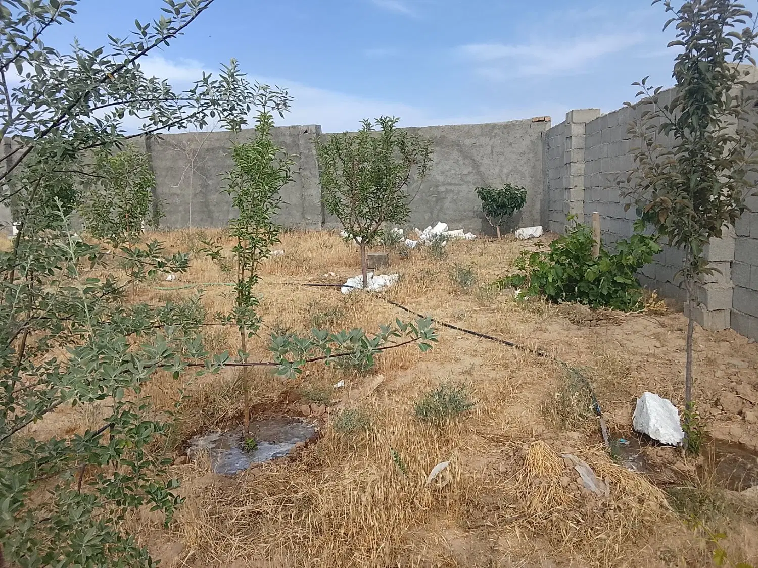 یک قطعه. 1200 متری