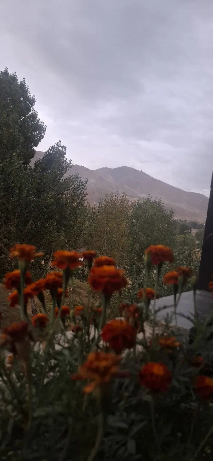 زمین ویلایی سعیداباد