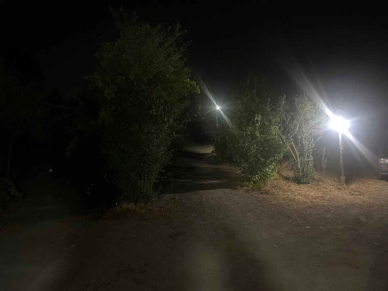 باغ شهرک گلستان