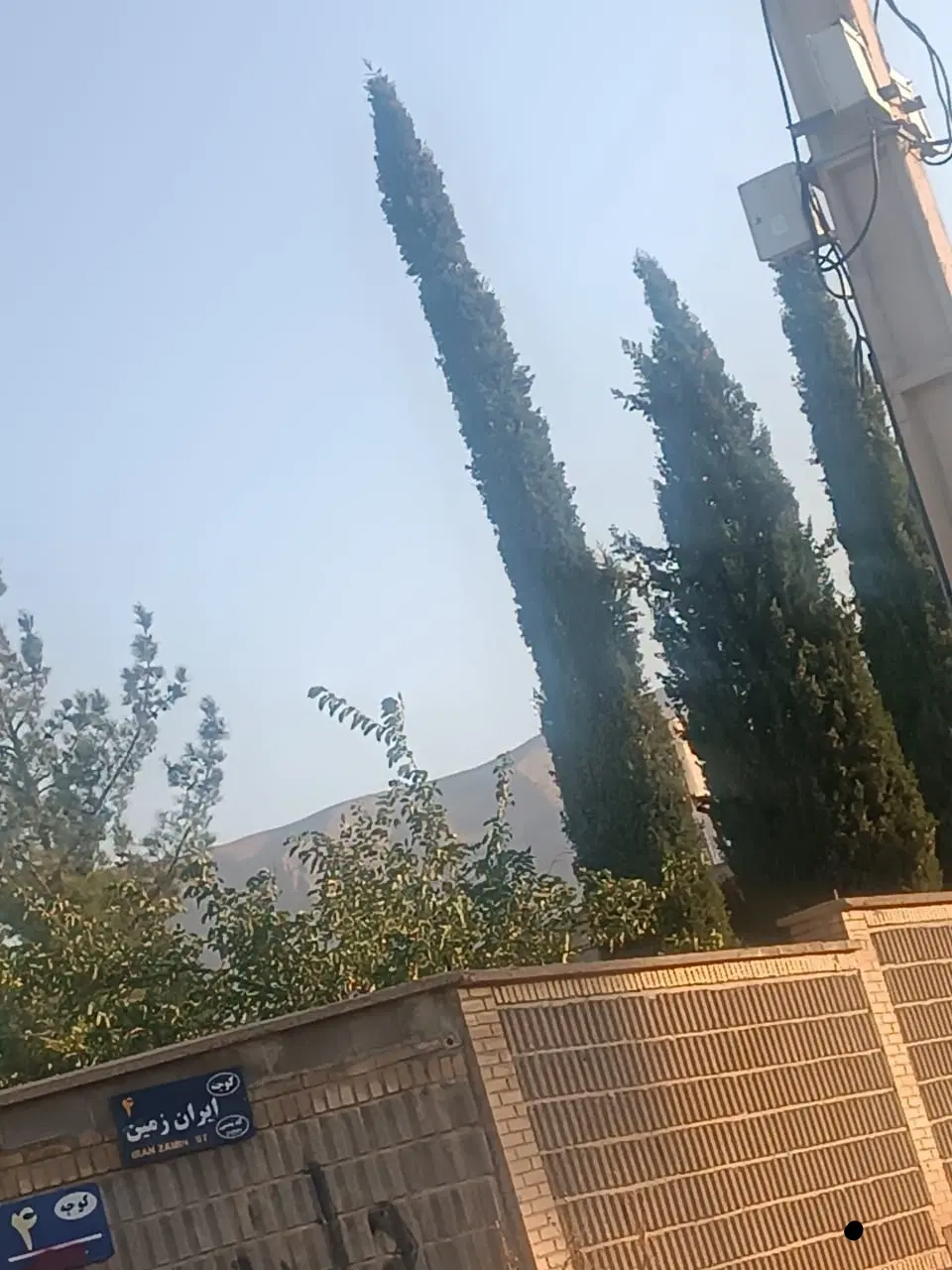 باغ شهری ۱۰۰۰متری غلات ارمغان