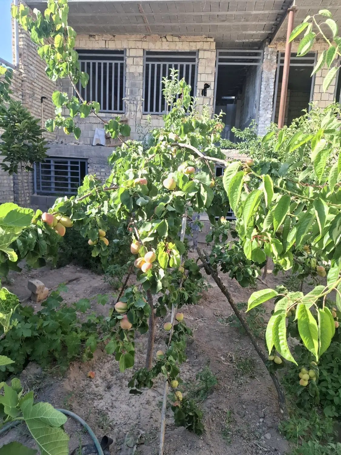 منزل فروشی دوطبقه روستای تاریخی توران پشت