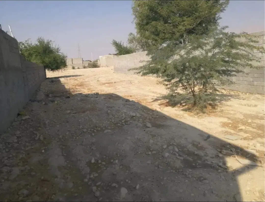زمین شهرکت متولی