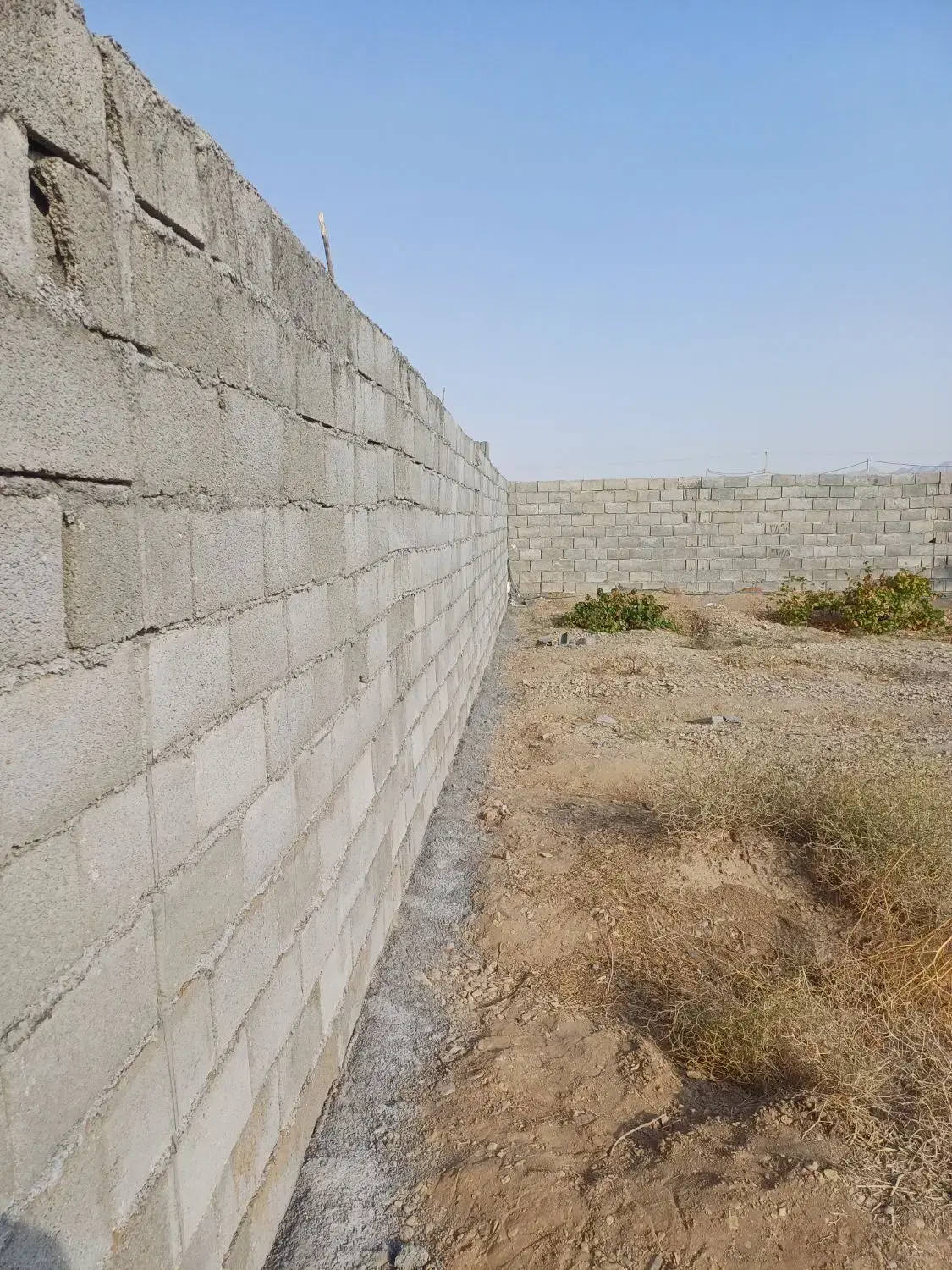 باغ  فروشی جلال آباد زیر قیمت کارشناسی