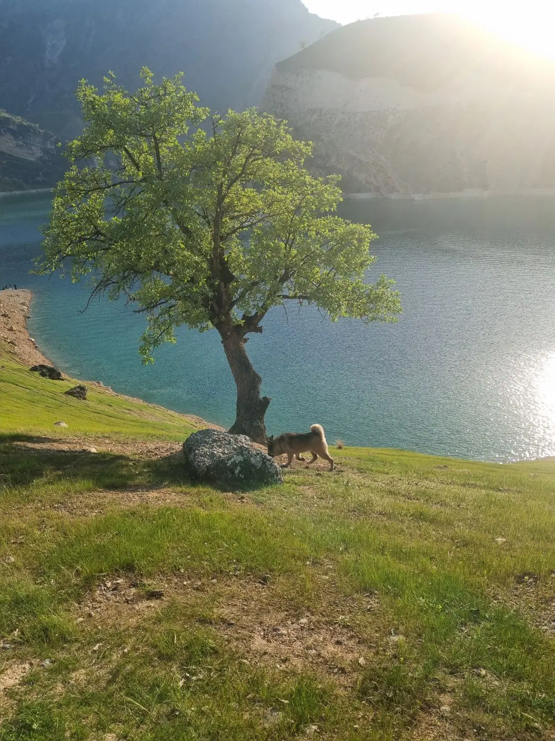 فروش دو قطعه زمین اکبر اباد تلاش شرقی