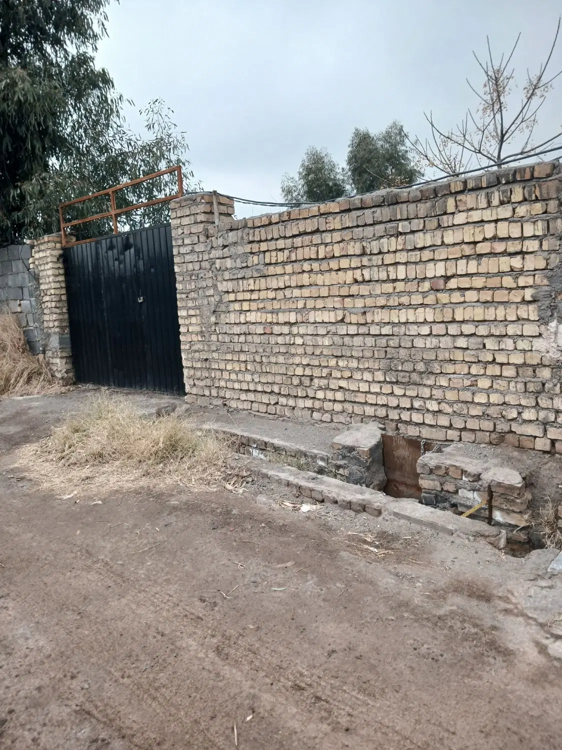 باغچه ۴دیواری