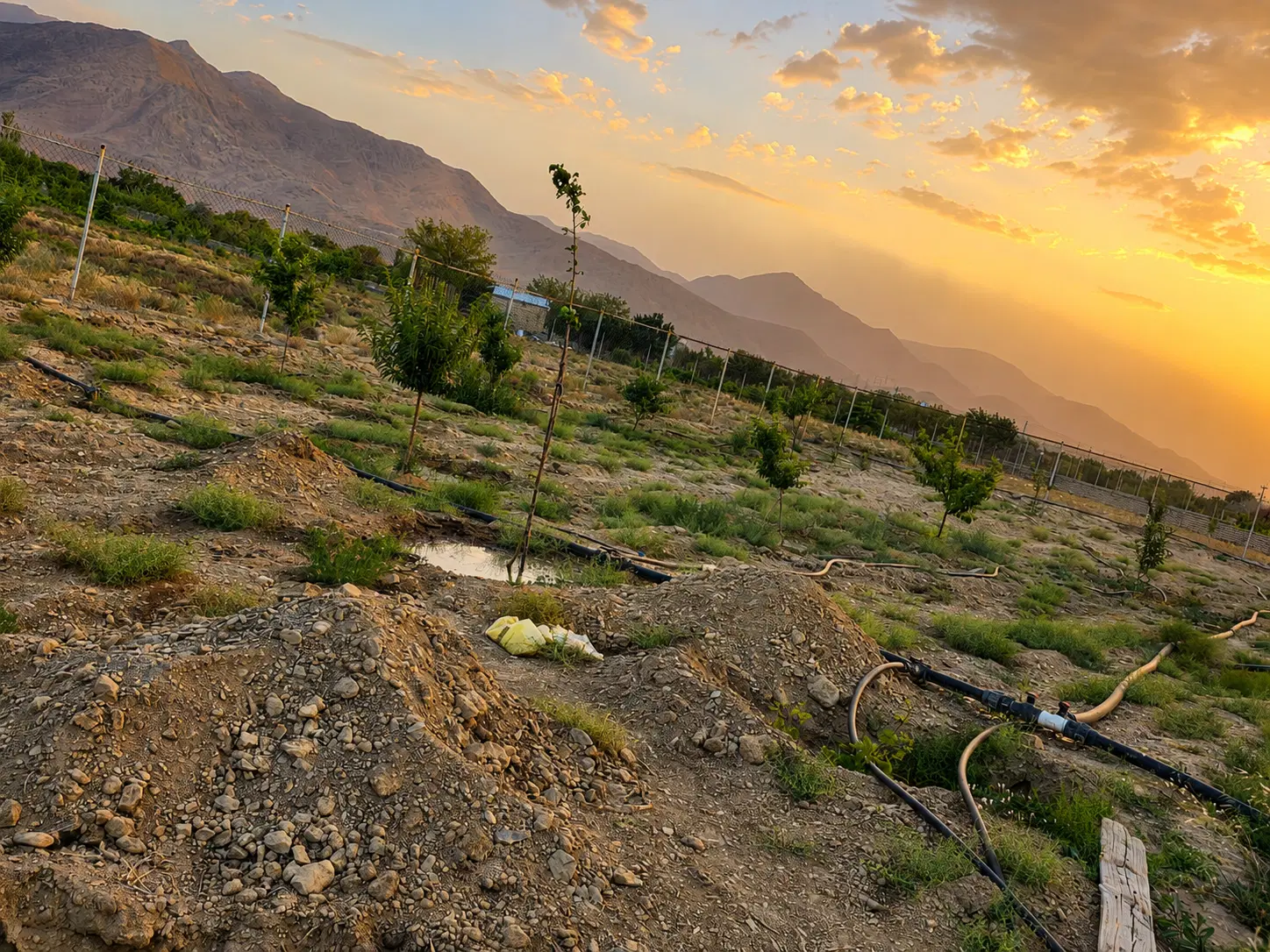 باغ.زمین کشاورزی