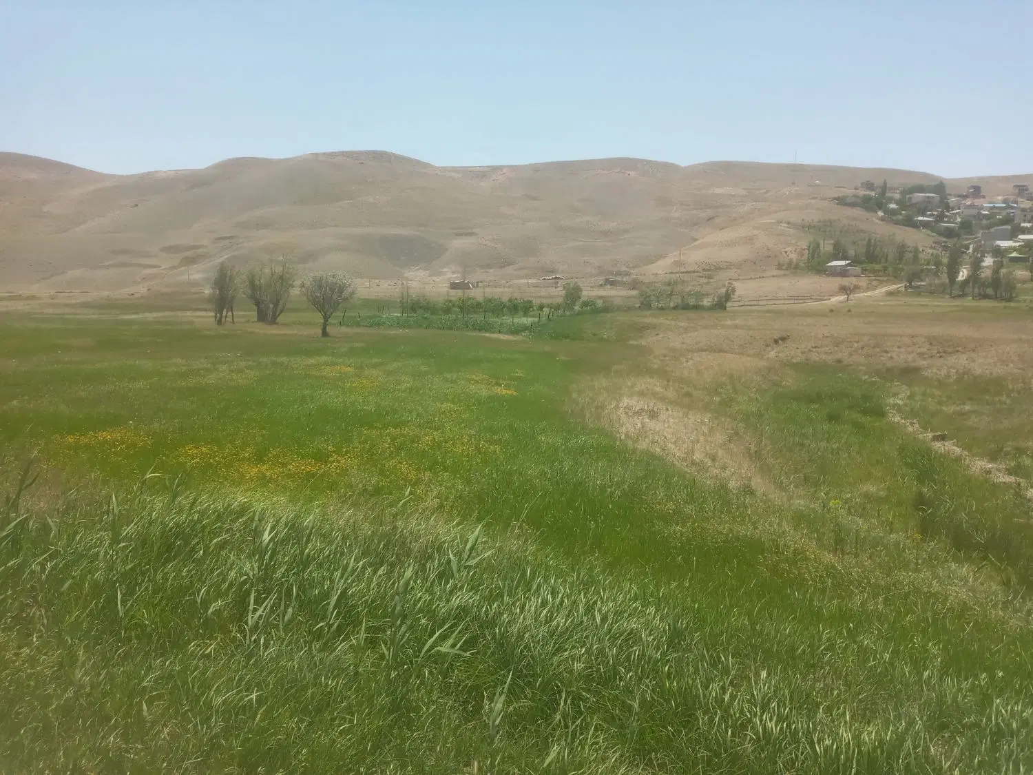 فروش زمین کشاورزی درفیروزکوه