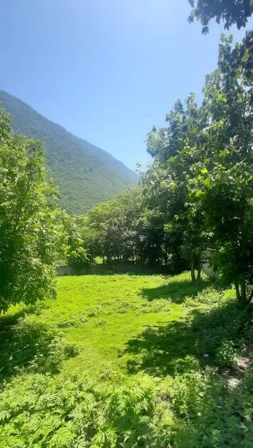 3850متر زمین مسکونی با دوپروانه خمام به خشکبیجار