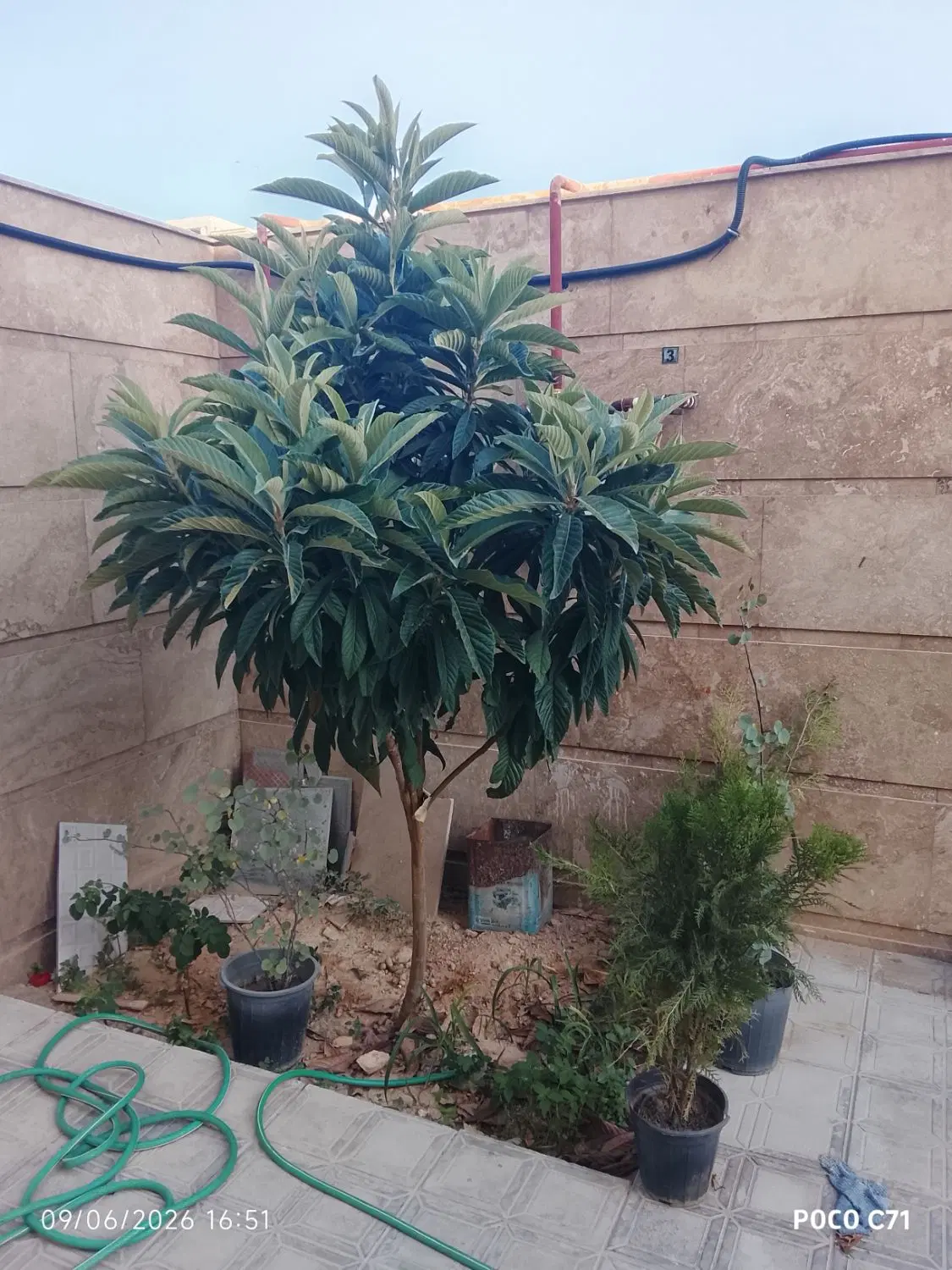 سه خواب لوکس رهن کامل
