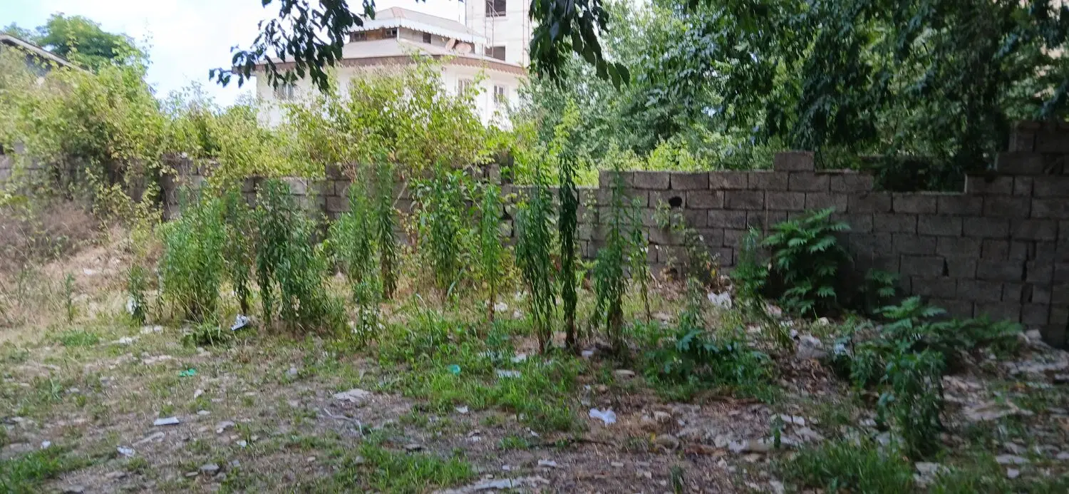 ۲۴۷ متر سندمسکونی  گلسار