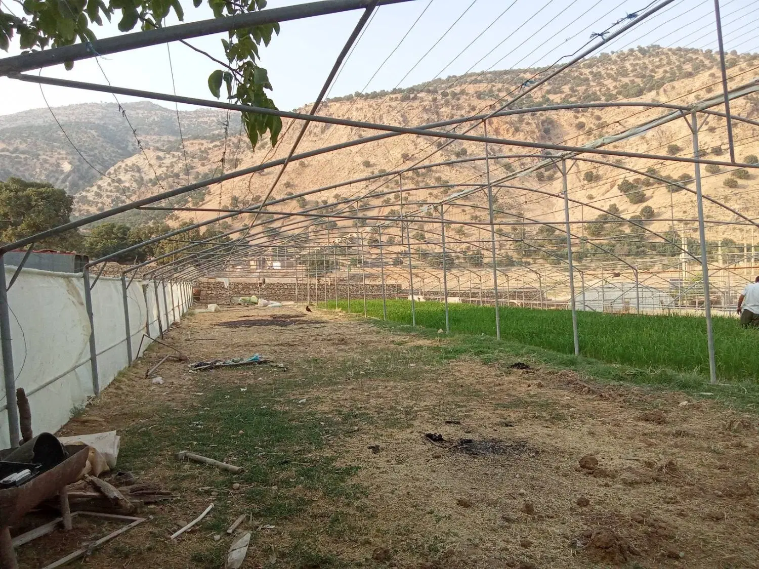 فروش سازه گلخانه